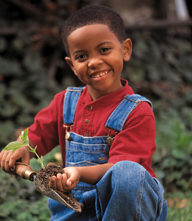 Little Boy Gardener