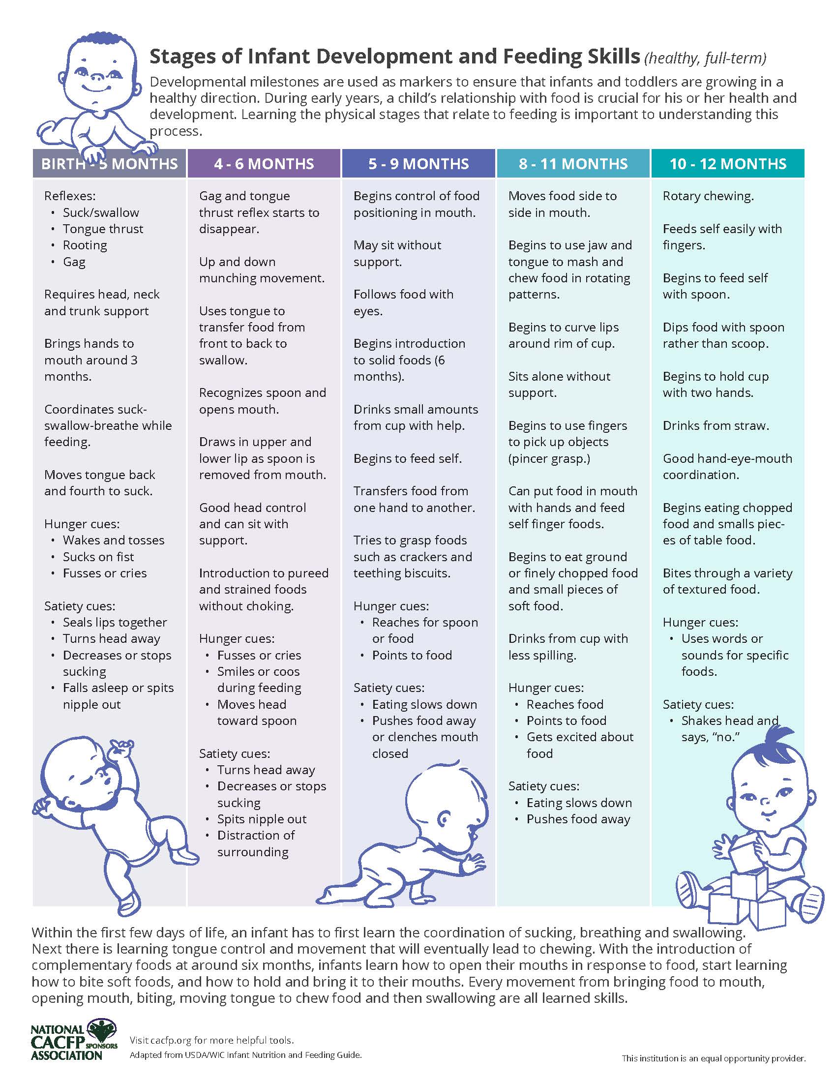 Stages of Infant Development