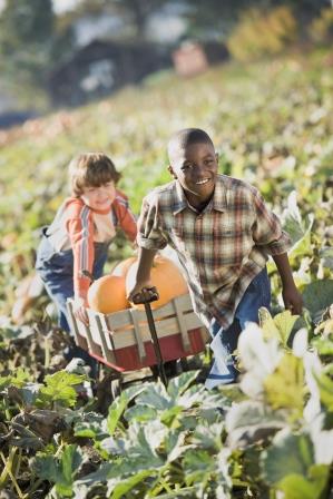 Boys in a field pulling pumpkins in a wagon