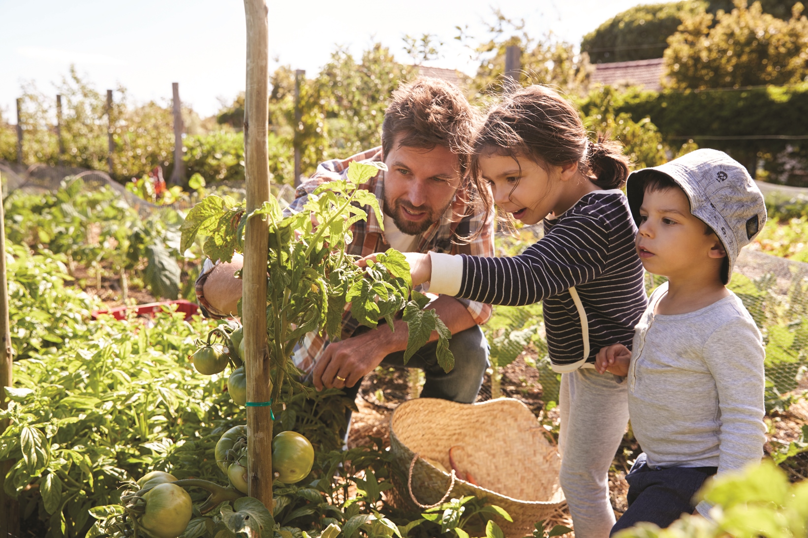 Man Helping Children Garden