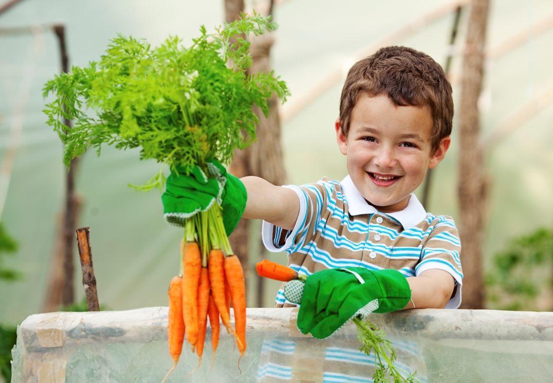 Little Boy Holding Carrots